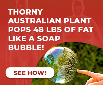 australian weight loss plant